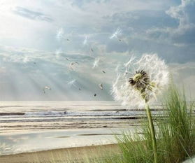 震惊！2026年塔罗牌暴击感情真相！看完第4条我哭了