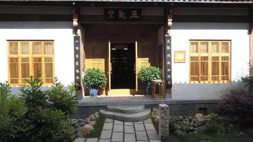 4. 市中心禅修中心：水泥森林里的虚假象平静
