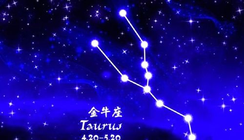 金牛座：稳扎稳打
