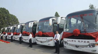 太仓必玩景点吐血推荐