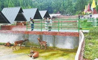 五、 花良好月圆的浪漫时光