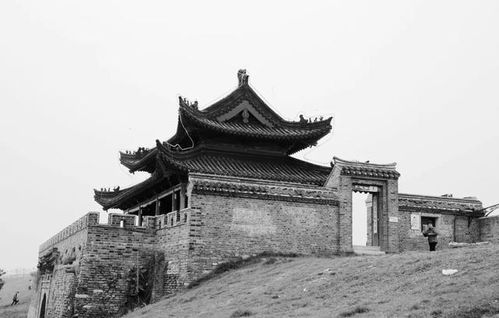 第三章：董奉山的传奇