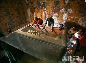 深入恐惧与偷吃披萨的小精灵