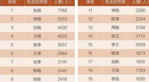 1.2 传统方式与现代化交织的命名技巧