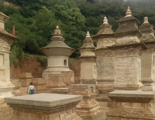 美食探寻：舌尖上的大荔