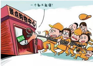 110式司法服务：游客的维权助手