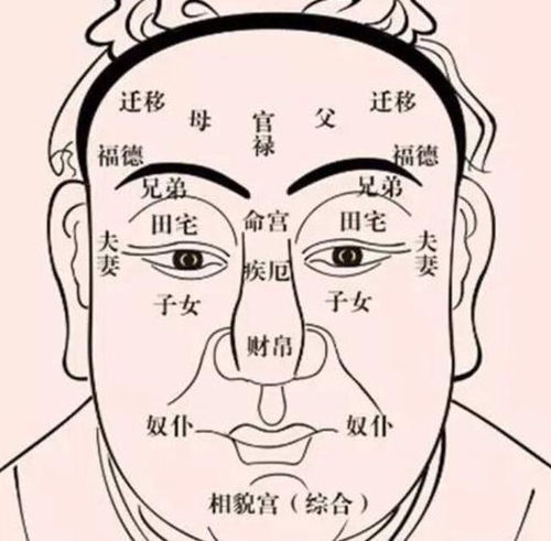 旧版八字算命书改写后，哪个更准确：八字面相算命还是面相算命？