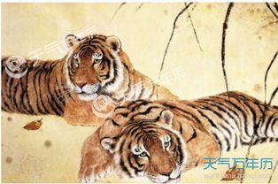 属虎女性今年运势如何，1998年属虎女今年运势如何改写为？