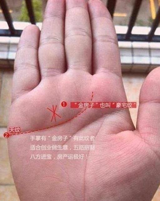 手相女凤尾纹特征有哪些，图片大全里都有吗？