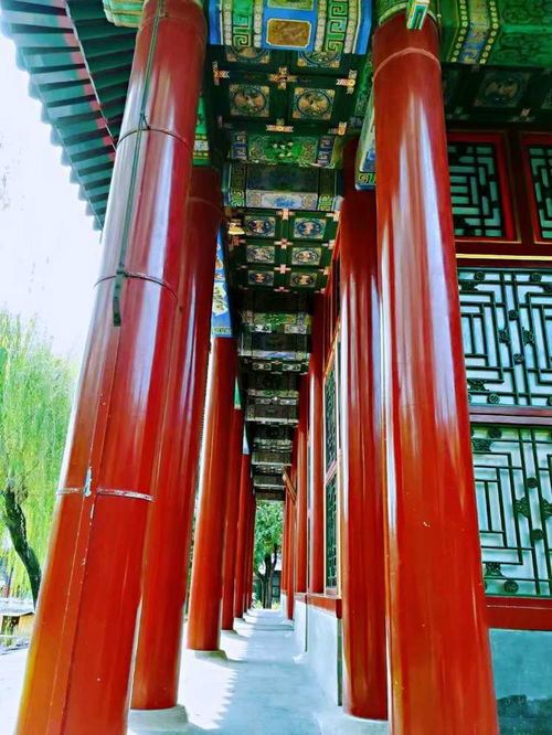 雨中惊鸿：别样韵味的颐和