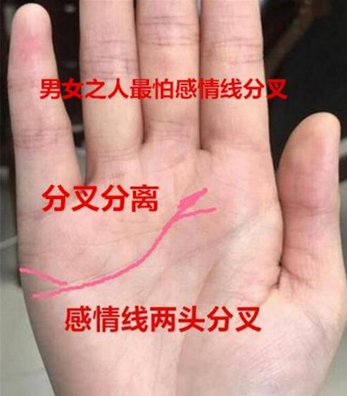 3. 婚姻线弯成贪吃蛇