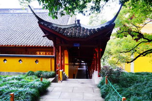 第四天：三竺探幽，古刹寻踪（求佛保佑不腿疼）