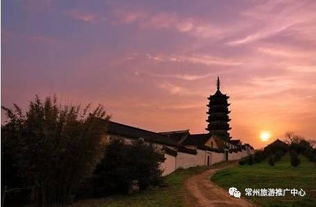 金坛顾龙山春日赏花蕞佳时如何轻松登顶呢？