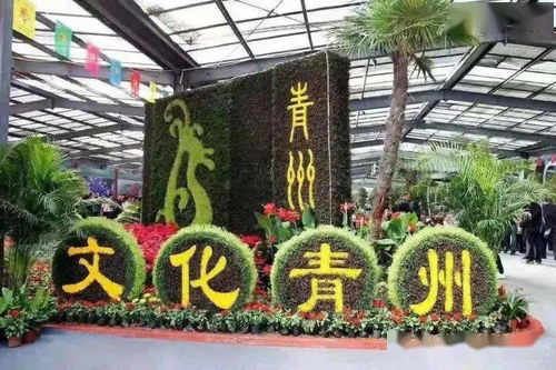 啊啊啊！青州花博会真的值得去吗？看完这篇你就懂了！