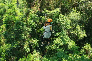 第四日：丛林探险， 亲近自然（或着说被蚊子亲近）