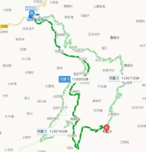4. （偷偷加一个）拜访王奶奶家的小猪拱地