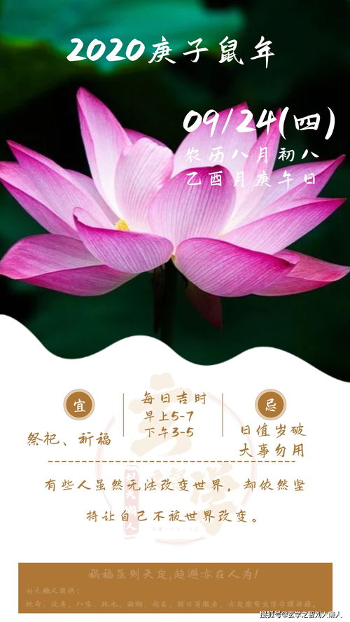 2026年立春八字运势如何，哪一八字在2026年最旺？