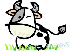 属牛的男人性格特点脾气有哪些？