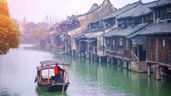 第二天：江南水乡乌镇， 诗意栖息，感受水乡的柔情