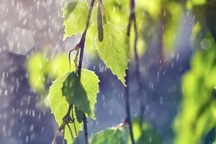 雨水三元怎么把风水搅得天翻地覆
