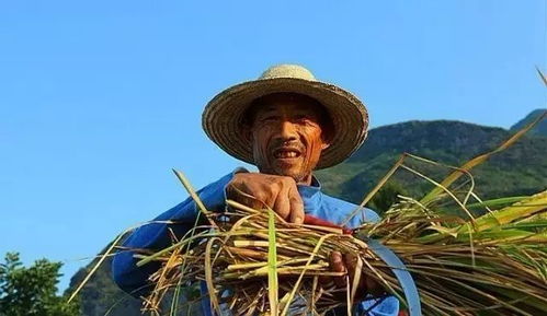 已婚女人梦之， 事业不顺，财运多被他人影响迹象，得此梦性格自我之人，虽有财运可得，奈何个人能力有限。