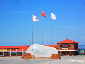 二、市场环境应对策略