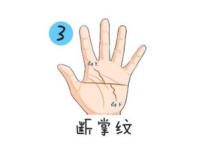 断掌纹：男人的命运如何，影响几何？