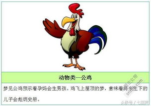 女人梦见蜥蜴是否预示着胎梦，嫩否预示生男生女？