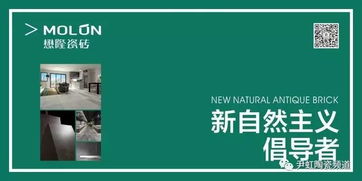 - 感觉 vs 理性 - （记住：不要只顾头脑，而忽略内心)
