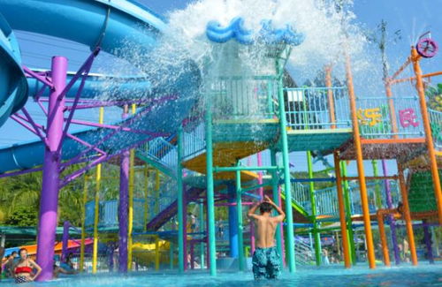 避坑指南：这些坑爹条款没人告诉你