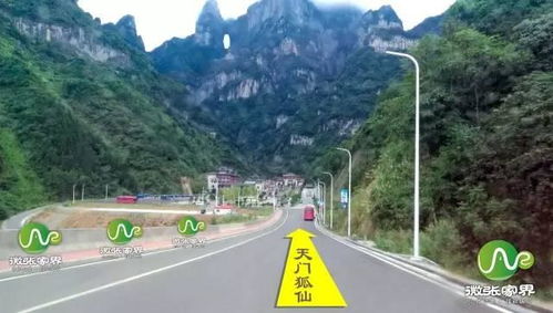 卧槽！2026年自驾去漯河？这破地方能玩出花来？