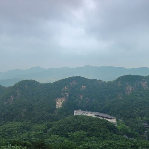 凤凰山公园：不是全部山都是为了登顶准备～有时停留才是真实正意义所在～