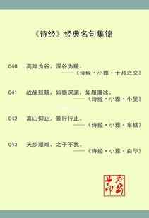 诗经中哪些八字名句或经典句子至今仍广为传颂？