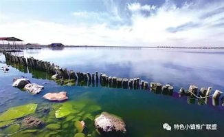一、红海子湿地公园到底在哪儿？这地方大得离谱！