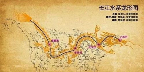 龙脉？我看是虫脉还差不多！
