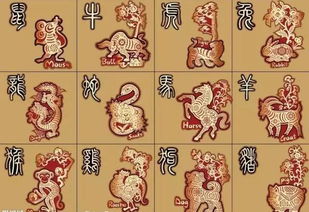 傲字的起源与基本含义