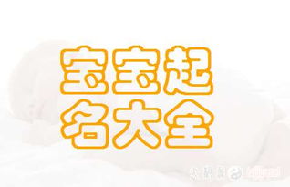 周易宝宝取名，姓氏输入后免费正版自动取名服务有哪些？