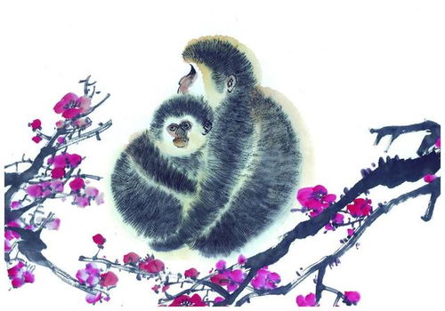 猴子的快乐生活