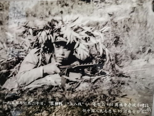 事业运势与财运走向