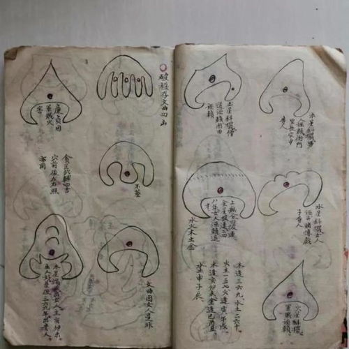 3. 人元的调和