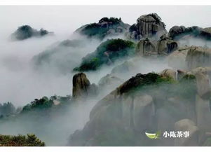 现场实录：游客惊呼合集
