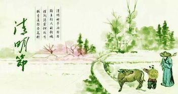 清明时节雨纷纷，祭扫风俗共传承，春意盎然忆故人