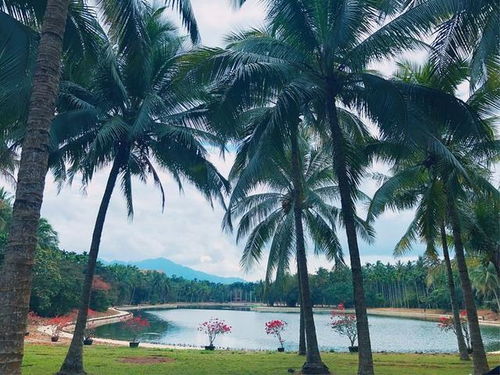3. 海南：椰风海韵与热带雨林