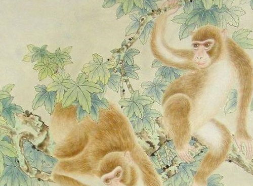属马老公和属猴老婆的婚姻财运如何？