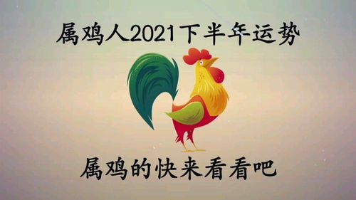 2005年和2021年属鸡人的运势及运程分别如何？