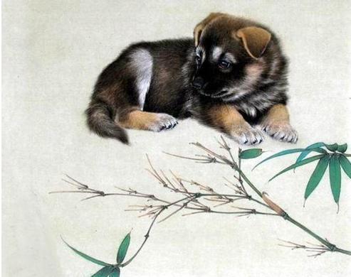 属狗女2026年能遇到什么属相的贵人？2025年属狗女人遇贵人的属相是什么？
