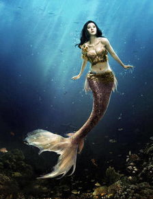 那东西夜晚， 我第一次听到美人鱼的眼泪