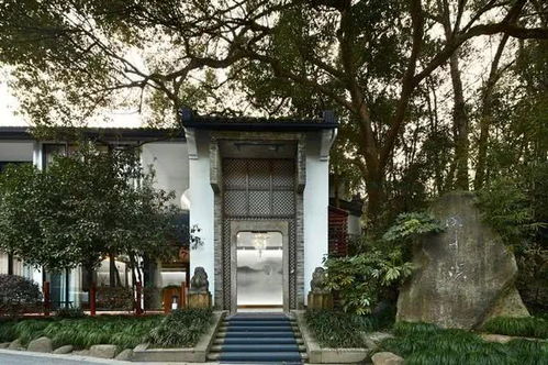 溪外溪酒店：网红泳池与灰瓦白墙的绝佳映衬