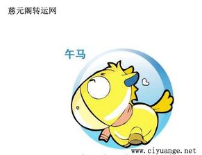 七、 常见错误警示（误区较大全）