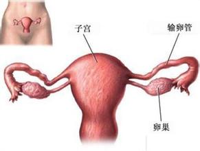 子宫疾病与风水关系,子宫疾病与风水关系有关吗